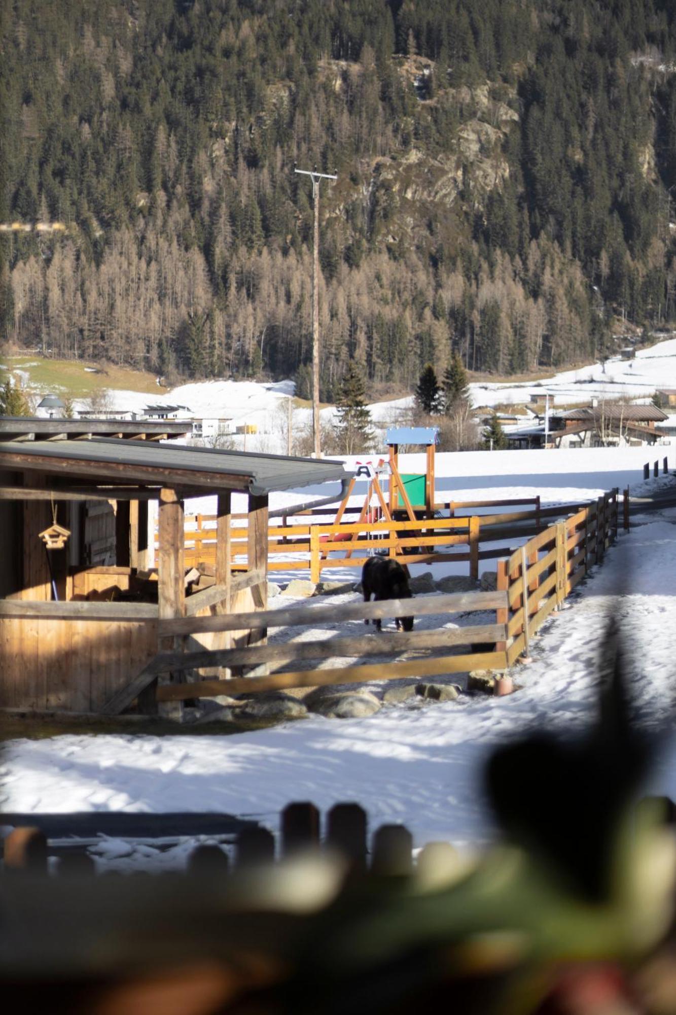 Ferienhaus Tirol Im Oetztal Umhausen Bagian luar foto