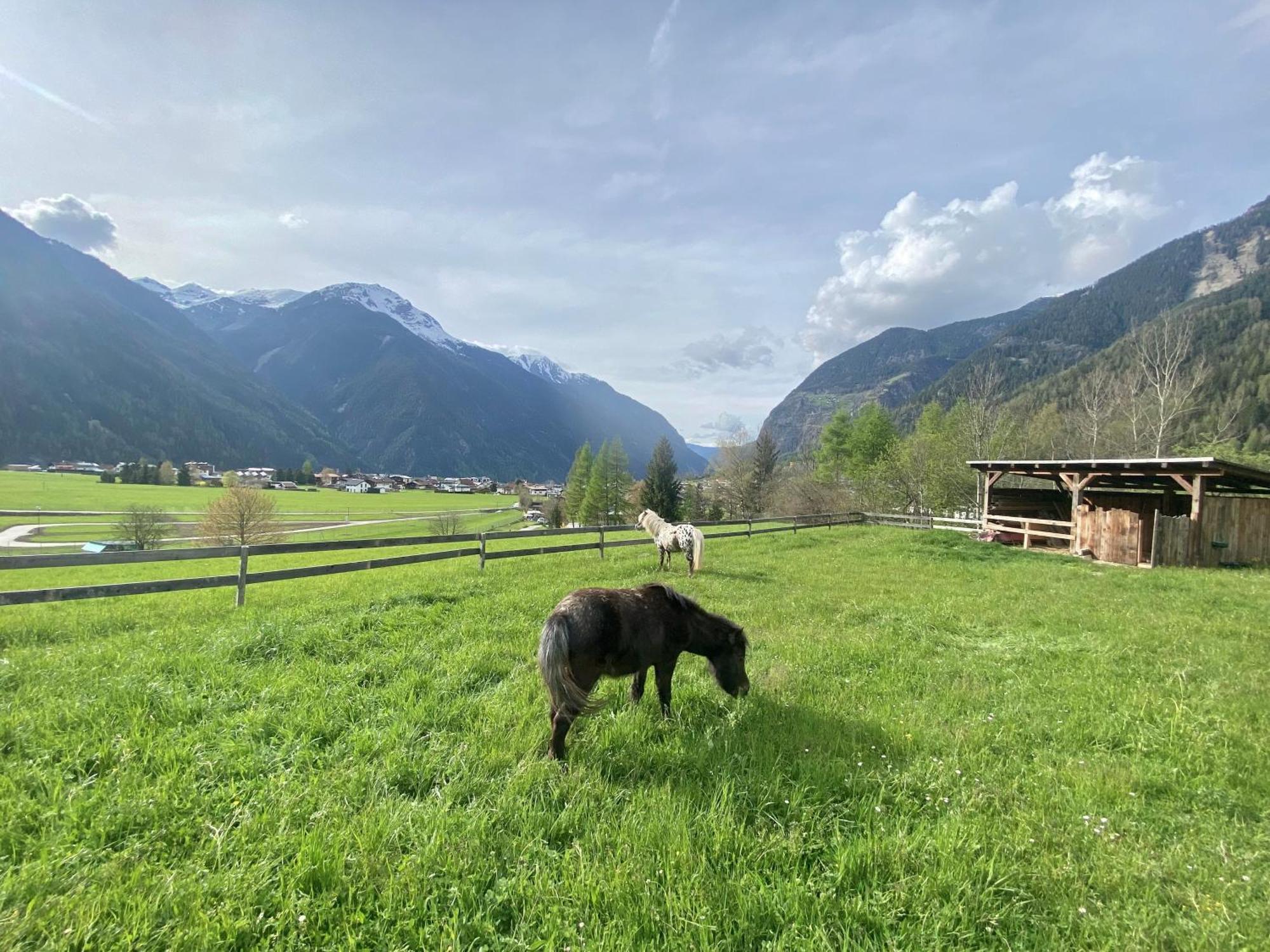 Ferienhaus Tirol Im Oetztal Umhausen Bagian luar foto